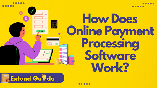 How Online Payment Processing Software Work