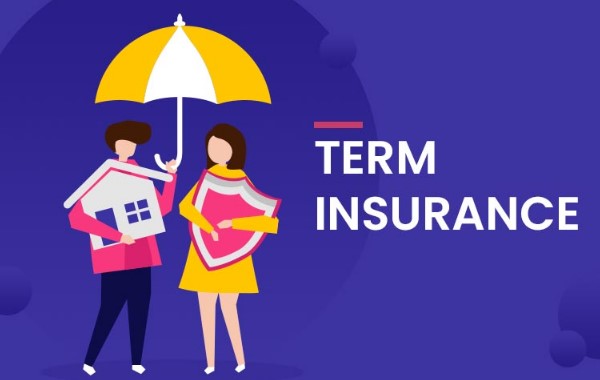 Term Insurance Plan